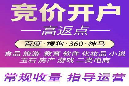 百度推广优化实战技巧与案例解析